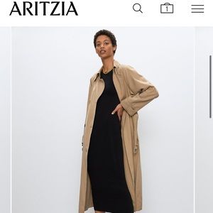 Aritzia Babaton Torino trench coat